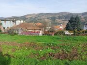 Terreno R�stico - Paradela, Tabua�o, Viseu - Miniatura: 6/9