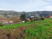 Terreno R�stico - Paradela, Tabua�o, Viseu - Miniatura: 7/9