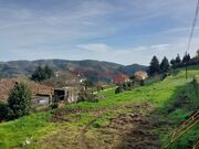 Terreno R�stico - Paradela, Tabua�o, Viseu - Miniatura: 8/9