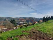 Terreno R�stico - Paradela, Tabua�o, Viseu - Miniatura: 9/9