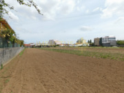 Terreno R�stico - Vila Nova da Telha, Maia, Porto - Miniatura: 2/5
