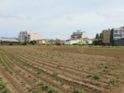 Terreno R�stico - Vila Nova da Telha, Maia, Porto - Miniatura: 4/5