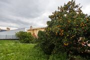 Terreno R�stico - CORONADO, Trofa, Porto - Miniatura: 7/9