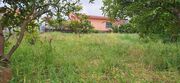 Terreno R�stico - CORONADO, Trofa, Porto - Miniatura: 8/9