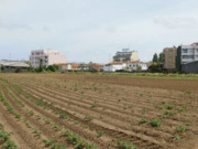 Terreno R�stico - Vila Nova da Telha, Maia, Porto - Miniatura: 4/5
