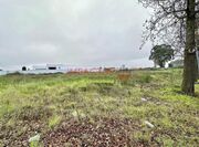 Terreno R�stico - �guas Santas, Maia, Porto - Miniatura: 4/9