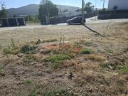 Terreno Rstico - Campo, Valongo, Porto - Miniatura: 6/6