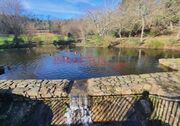 Terreno R�stico - Castelo da Maia, Maia, Porto - Miniatura: 4/5