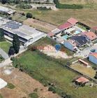 Terreno R�stico - Castelo da Maia, Maia, Porto - Miniatura: 5/5