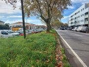 Terreno R�stico - Paranhos, Porto, Porto - Miniatura: 2/9