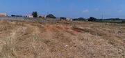 Terreno R�stico - A Ver-o-Mar, P�voa de Varzim, Porto - Miniatura: 3/9