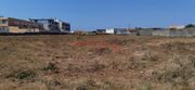 Terreno R�stico - A Ver-o-Mar, P�voa de Varzim, Porto - Miniatura: 5/9