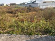 Terreno R�stico - Muro, Trofa, Porto - Miniatura: 2/9