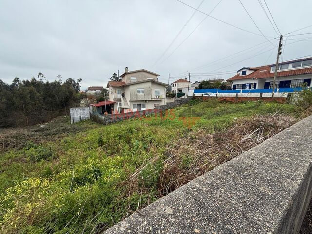Terreno R�stico - S�o Roque, Oliveira de Azem�is, Aveiro - Imagem grande