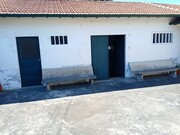 Quinta - Valena, Valena, Viana do Castelo - Miniatura: 9/9