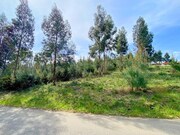 Terreno Rstico - Bela, Mono, Viana do Castelo - Miniatura: 2/4