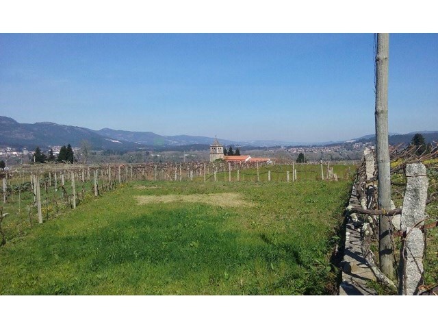 Terreno Urbano - Ganfei (São Salvador), Valença, Viana do Castelo - Imagem grande