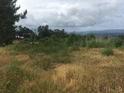 Terreno Rstico - Gandra, Valena, Viana do Castelo - Miniatura: 1/3
