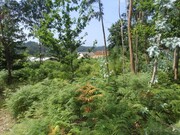 Terreno Urbano - Mazedo, Mono, Viana do Castelo - Miniatura: 5/9