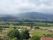 Terreno Rstico - Ganfei (So Salvador), Valena, Viana do Castelo - Miniatura: 3/3