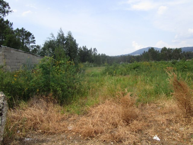 Terreno Rstico - Bela, Mono, Viana do Castelo - Imagem grande