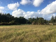 Terreno Rstico - Mazedo, Mono, Viana do Castelo - Miniatura: 5/9