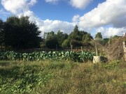 Terreno Rstico - Mazedo, Mono, Viana do Castelo - Miniatura: 7/9