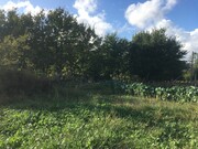Terreno Rstico - Mazedo, Mono, Viana do Castelo - Miniatura: 8/9