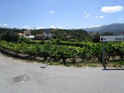 Terreno Rstico - Ceives e Badim, Mono, Viana do Castelo - Miniatura: 2/2