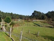 Quinta T4 - Mono, Mono, Viana do Castelo - Miniatura: 5/9