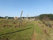 Quinta T4 - Mono, Mono, Viana do Castelo - Miniatura: 9/9