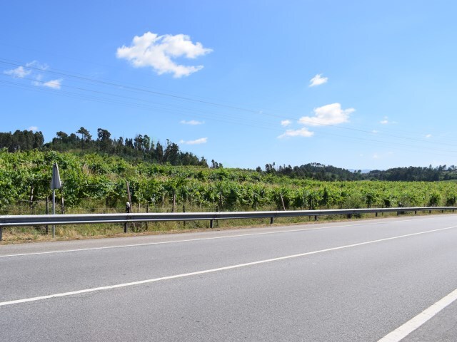 Terreno Rústico - Monção, Monção, Viana do Castelo - Imagem grande
