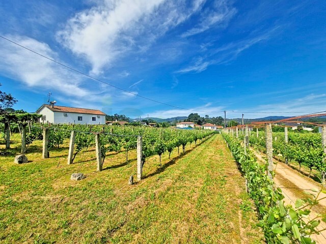 Terreno Rstico - Pinheiros, Mono, Viana do Castelo - Imagem grande
