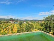 Terreno Rstico - Pinheiros, Mono, Viana do Castelo - Miniatura: 6/9