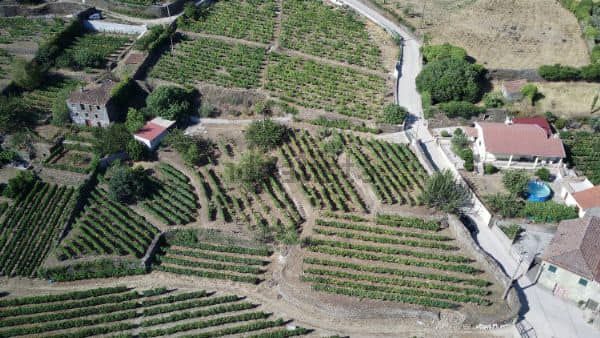 Terreno Rústico - Provesende, Sabrosa, Vila Real - Imagem grande