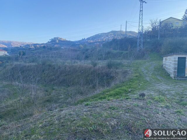 Quinta - C�rquere, Resende, Viseu - Imagem grande