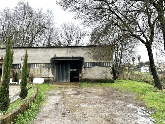 Armaz�m - S�o Tom� Negrelos, Santo Tirso, Porto - Imagem grande