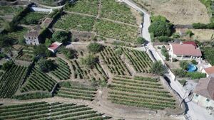 Terreno Rstico - Provesende, Sabrosa, Vila Real