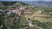 Terreno Rstico - Provesende, Sabrosa, Vila Real - Miniatura: 2/7
