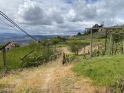 Terreno R�stico - Anreade, Resende, Viseu - Miniatura: 1/8