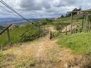 Terreno R�stico - Anreade, Resende, Viseu - Miniatura: 2/8