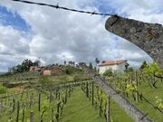 Terreno R�stico - Anreade, Resende, Viseu - Miniatura: 3/8