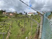 Terreno R�stico - Anreade, Resende, Viseu - Miniatura: 7/8