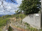 Terreno R�stico - Anreade, Resende, Viseu - Miniatura: 8/8