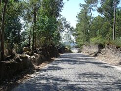 Terreno R�stico - Remelhe, Barcelos, Braga