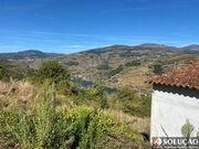 Moradia T3 - Penajia, Lamego, Viseu - Miniatura: 4/9