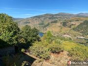 Moradia T3 - Penajia, Lamego, Viseu - Miniatura: 7/9