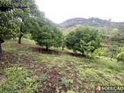Moradia T3 - S. Jo�o de Fontoura, Resende, Viseu - Miniatura: 3/9