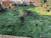 Terreno R�stico - S�o Tom� Negrelos, Santo Tirso, Porto - Miniatura: 8/9