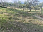 Terreno R�stico - Resende, Resende, Viseu - Miniatura: 2/9